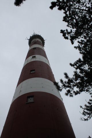 IMG_1521